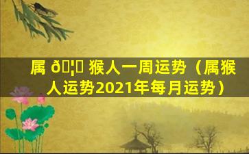 属 🦄 猴人一周运势（属猴人运势2021年每月运势）